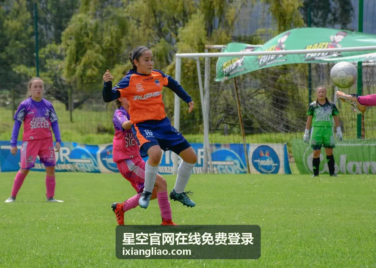星空官网在线免费登录会员等级权益说明