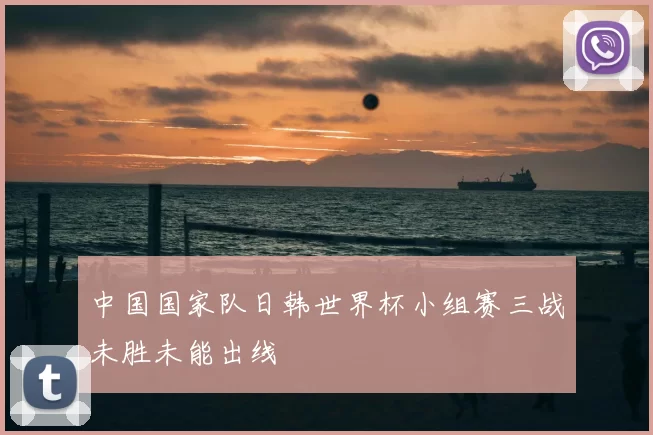 中国国家队日韩世界杯小组赛三战未胜未能出线