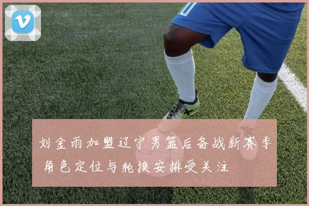 刘金雨加盟辽宁男篮后备战新赛季 角色定位与轮换安排受关注