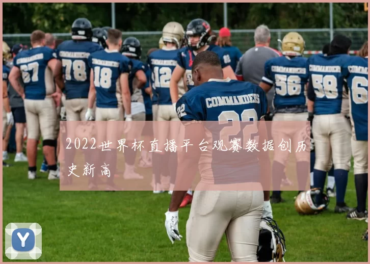 2022世界杯直播平台观赛数据创历史新高