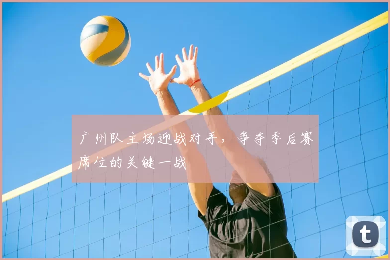 广州队主场迎战对手,争夺季后赛席位的关键一战