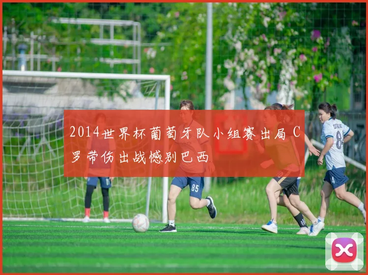 2014世界杯葡萄牙队小组赛出局 C罗带伤出战憾别巴西