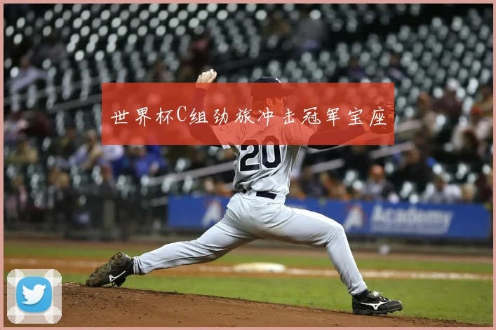 世界杯C组劲旅冲击冠军宝座